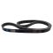 Serpentine Belt