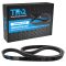 Serpentine Belt