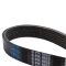 Serpentine Belt