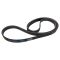 Serpentine Belt