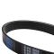Serpentine Belt