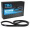 Serpentine Belt