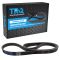 Serpentine Belt