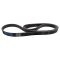 Serpentine Belt