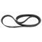 Serpentine Belt