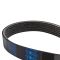 Serpentine Belt