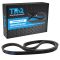 Serpentine Belt