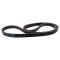 Serpentine Belt