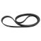 Serpentine Belt