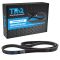 Serpentine Belt