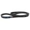 Serpentine Belt