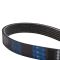 Serpentine Belt