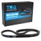 Serpentine Belt