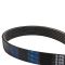 Serpentine Belt