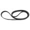Serpentine Belt
