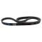 Serpentine Belt