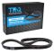 Serpentine Belt