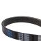 Serpentine Belt