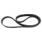 Serpentine Belt