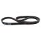 Serpentine Belt
