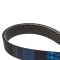Serpentine Belt