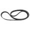 Serpentine Belt