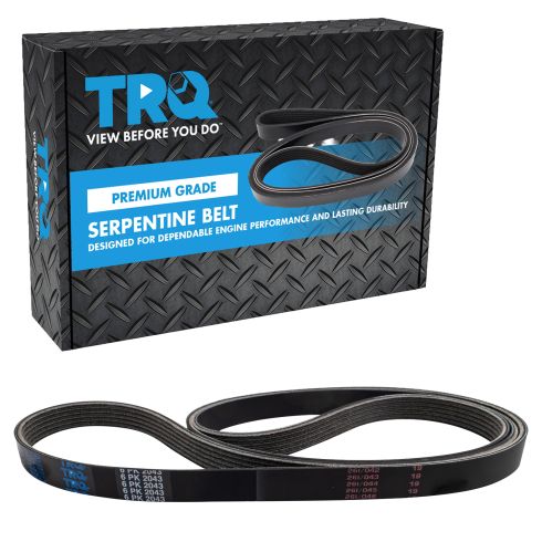 Serpentine Belt