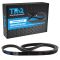 Serpentine Belt