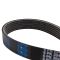 Serpentine Belt
