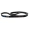 Serpentine Belt
