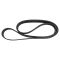 Serpentine Belt