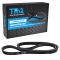 Serpentine Belt