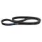 Serpentine Belt
