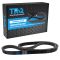 Serpentine Belt