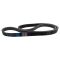 Serpentine Belt