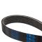 Serpentine Belt