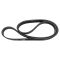 Serpentine Belt