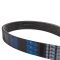 Serpentine Belt