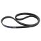 Serpentine Belt