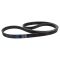 Serpentine Belt