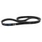 Serpentine Belt