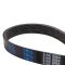 Serpentine Belt