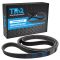 Serpentine Belt