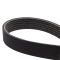 Serpentine Belt