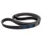 Serpentine Belt