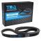Serpentine Belt
