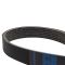 Serpentine Belt