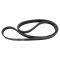 Serpentine Belt