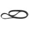 Serpentine Belt