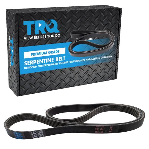 Serpentine Belt